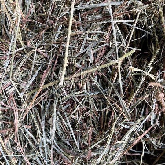 2 String Orchard &amp; Alfalfa Bale