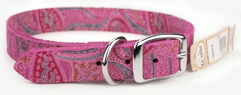 Paisley Collar Multi Color