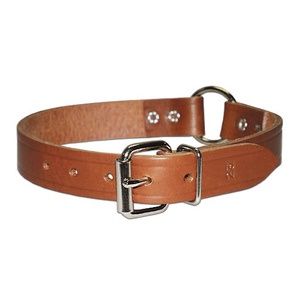 Bully Collar Ring In Center Multi Sizes, Size: 19&quot;