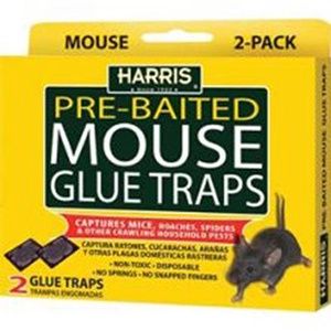 Mouse Glue Trap 2 PK Multi Sizes, Size: HMG