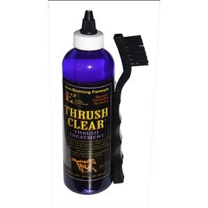 Thrush Clear for Horses