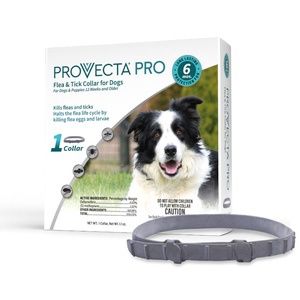 Provecta Pro Flea &amp; Tick Collar for Dogs