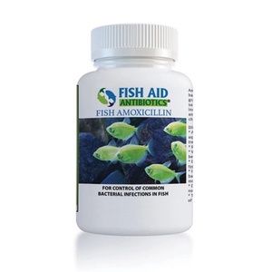 Fish Mox (Amoxicillin)
