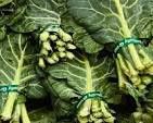 Georgia Collards 6 pk