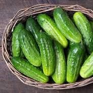 Pickling Cucumber 6 pk