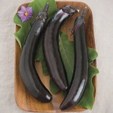 Ichiban eggplant