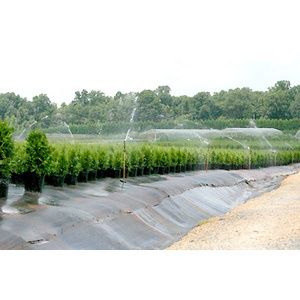 Ground Cover Woven Polypropylene 3ft x 300ft Black