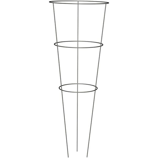 Tomato &amp; Plant Cage