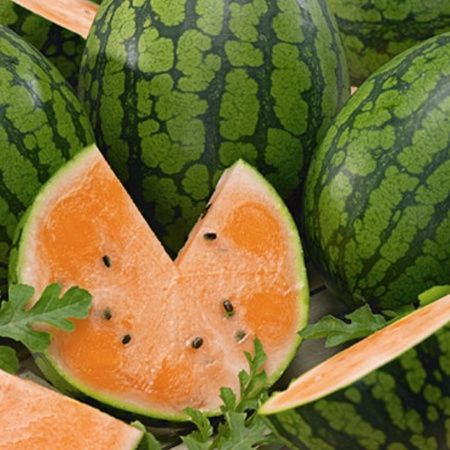 Tendersweet Orange Watermelon, Size: 1/2 oz