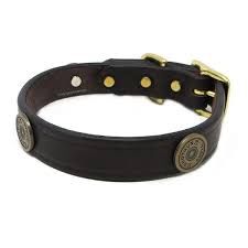 1&#39;&#39; Shot Shell Leather Collar