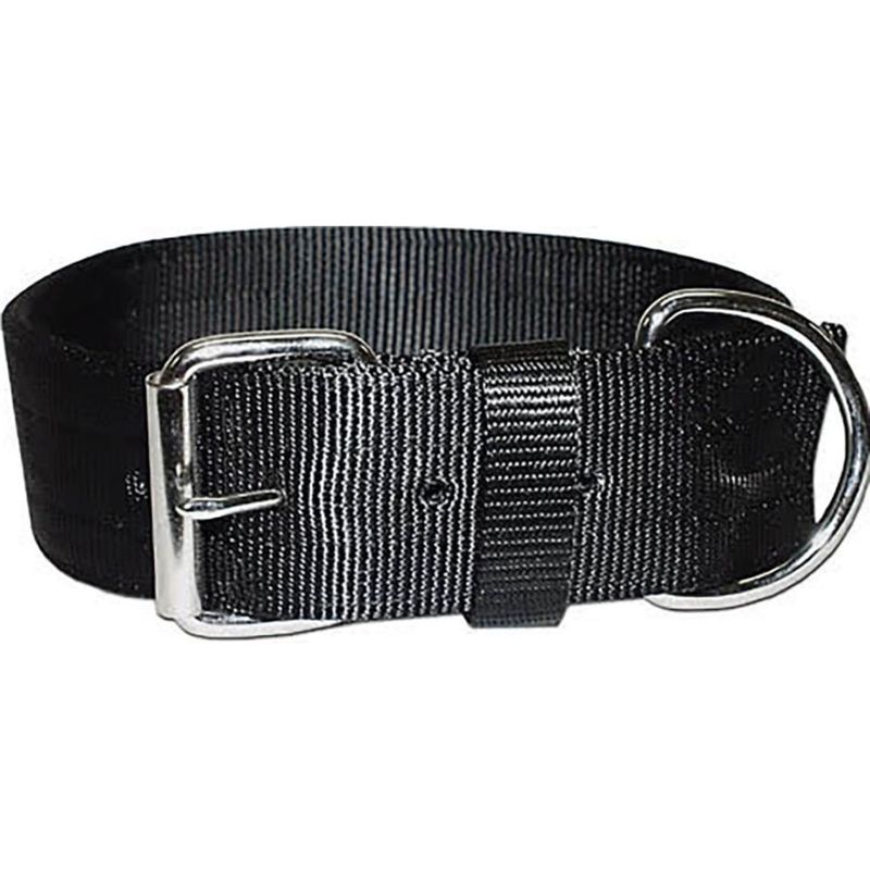 Bravo 2 Ply Nylon Dog Collar