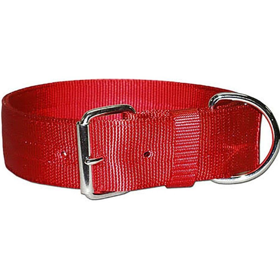 Bravo 2 Ply Nylon Dog Collar, Size: 21&#39;&#39;, Colour: Red