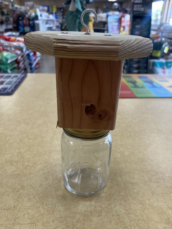 Hanging Carpenter Bee Trap