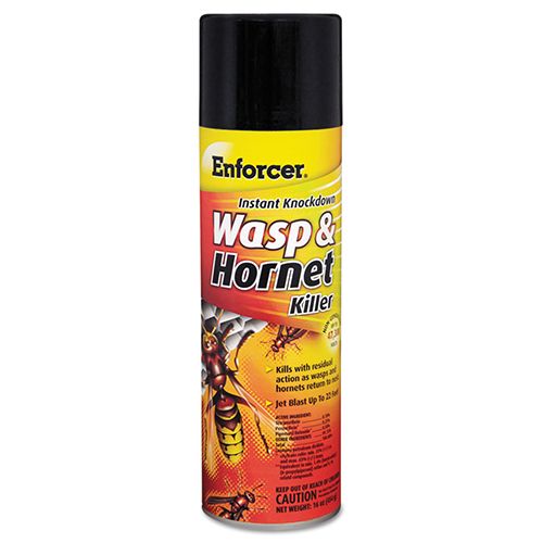 Enforcer Instant Knockdown Wasp &amp; Hornet Spray