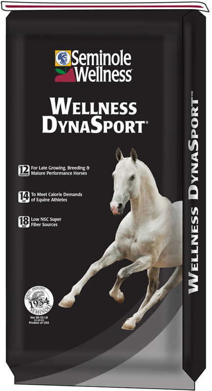 Wellness DynaSport