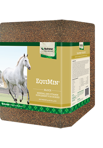 EquiMin Mineral Block