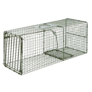 Single Door (Rings) Live Catch Trap, Size: 30x12x12