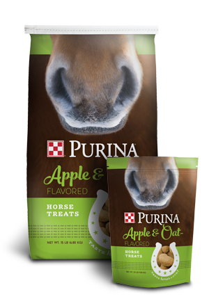 Apple and Oat-Flavored treats, Size: 15LB