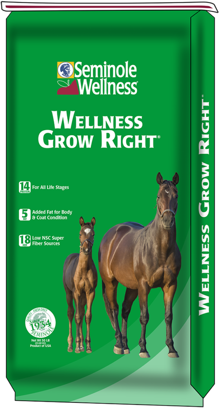 Wellness Grow Right - Textured