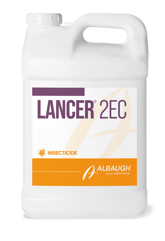 Lancer 2EC/Brigade 2 EC (Restricted)