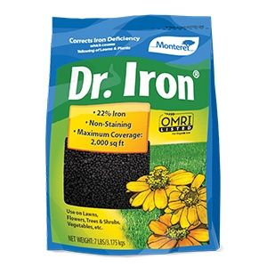 Dr Iron
