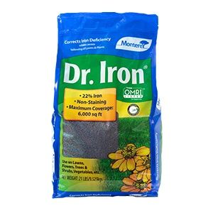 Dr Iron, Size: 21 lb