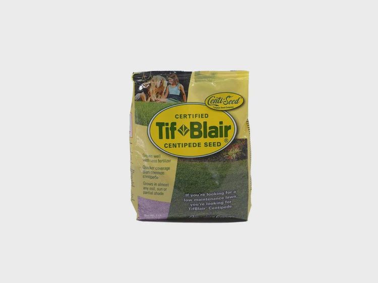 TifBlair Centipede Grass Seed, Size: 1LB