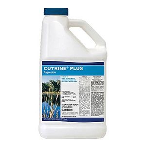 Cutrine Plus, Size: 1 Gallon