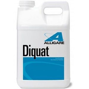 Alligare Diquat Herbicide, Size: QT