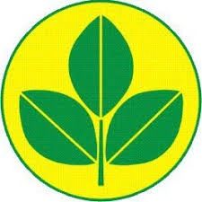 15-0-15 Slow Release