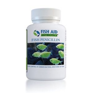 Fish Pen (Penicillin), Size: 250mg 30CT
