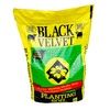 Black Gold Black Velvet Planting Soil 1 CF