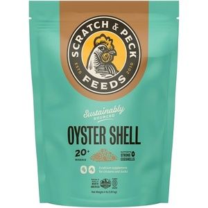 Natural Oyster Shell