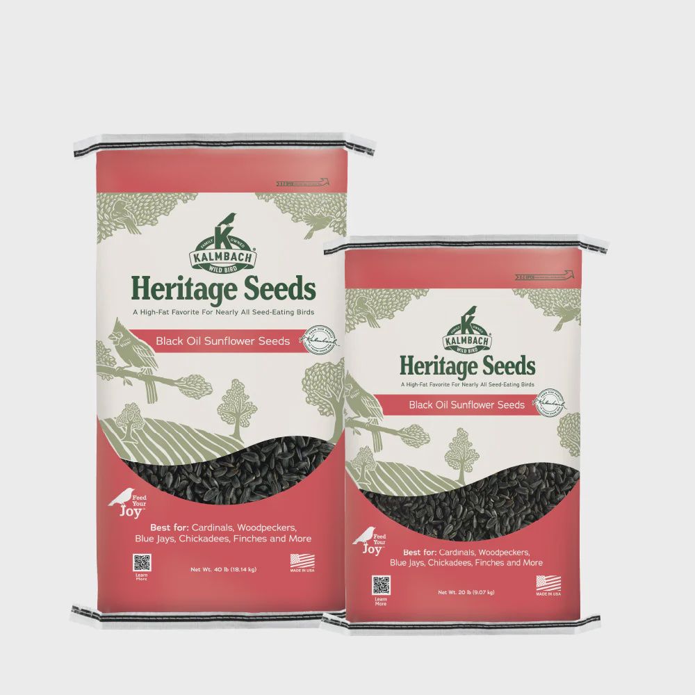 Heritage Seeds Black Oil Sunflower, Size: 20lb