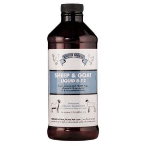 Sheep &amp; Goat Liquid B12