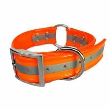 Sunglo Reflector Collar with Ring, Size: 19''