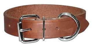 Regular Bully Leather 1'' Wide, Size: 19''