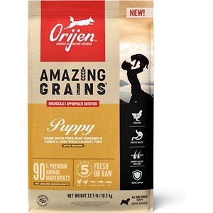 Orijen Amazing Grains Dry Puppy Food