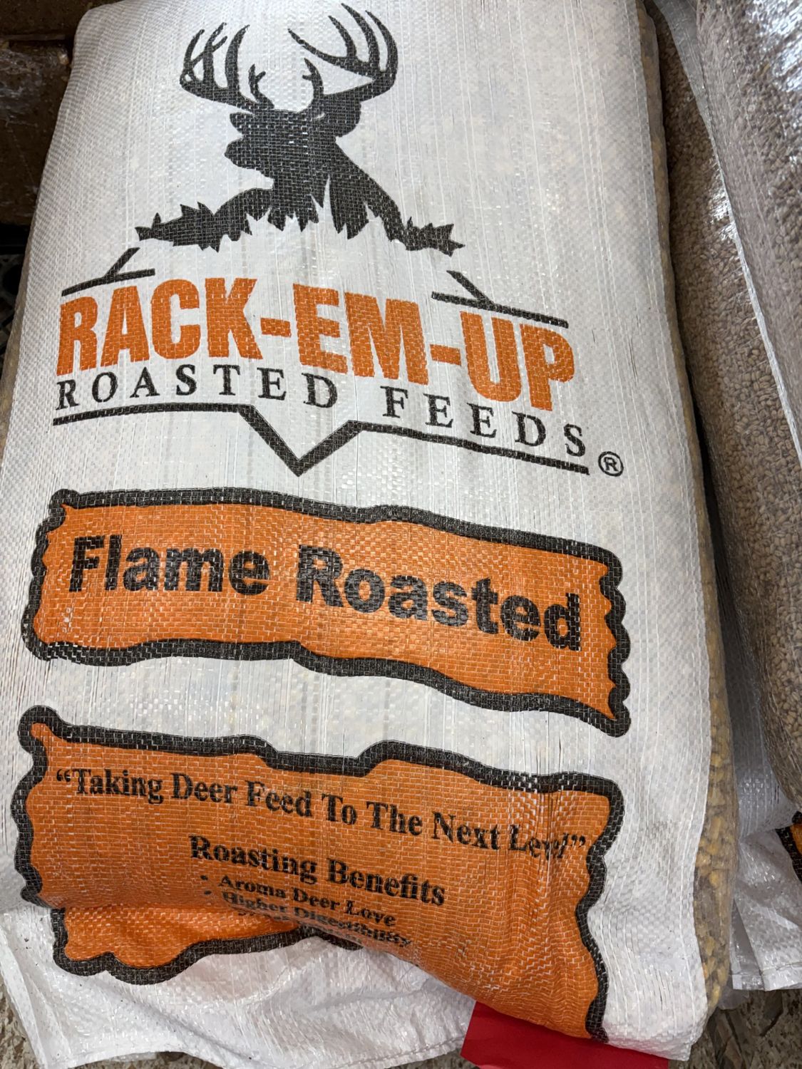 Roasted Corn