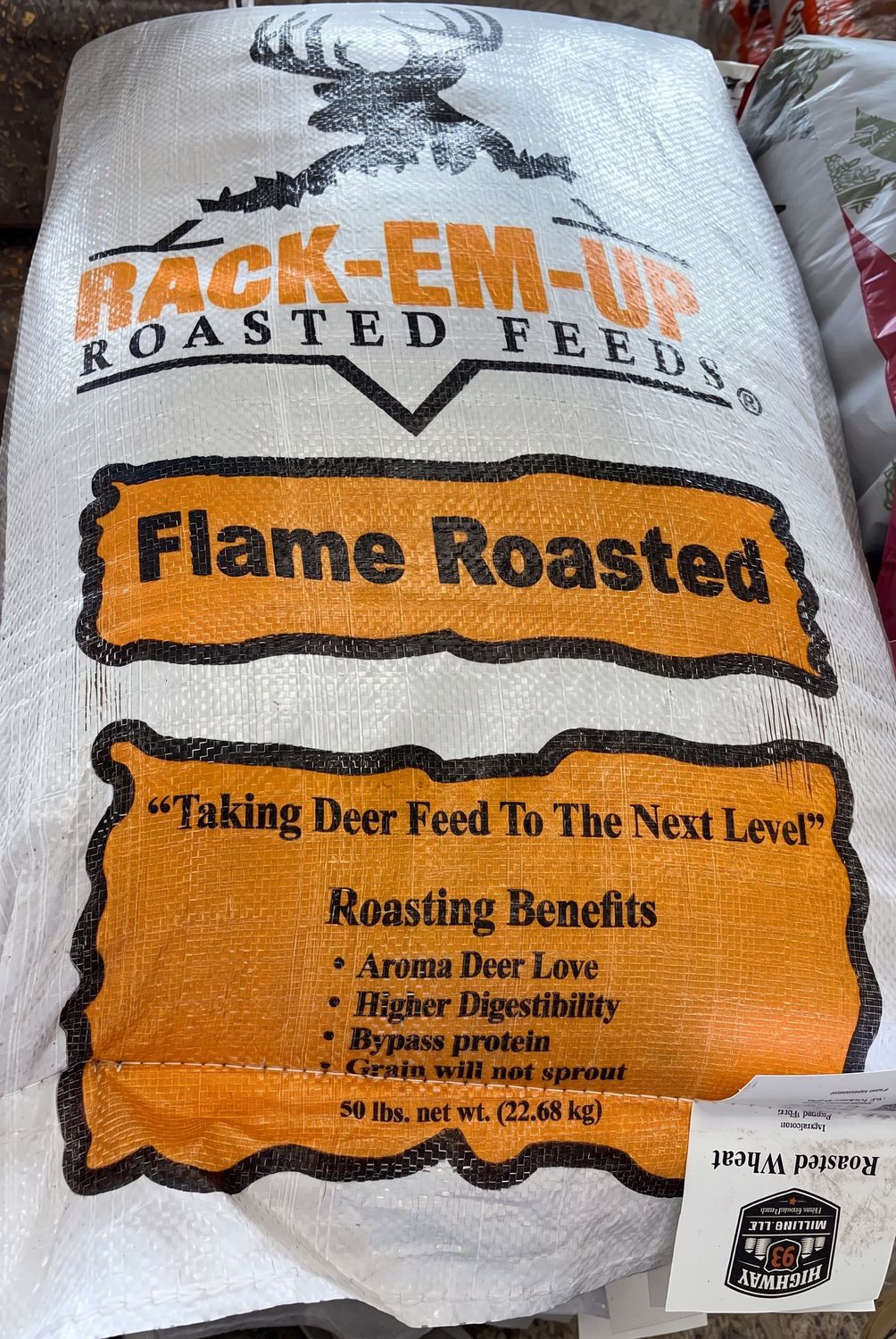 Roasted Wheat