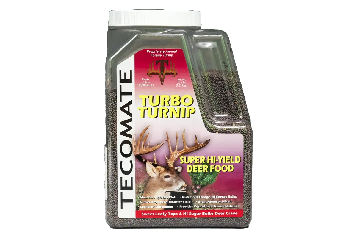 Tecomate Turbo Turnip, Size: 2.75lb