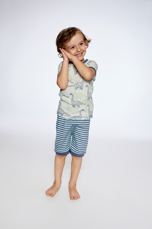 2 Pc PJ Set w/ Dinosaurs 