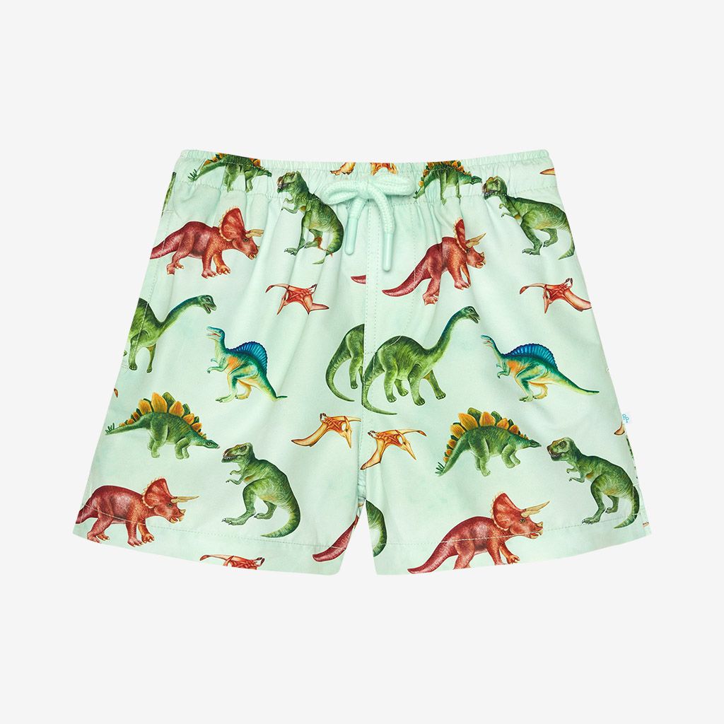 Boys Swim Trunks, Color: Buddy, Size: 2