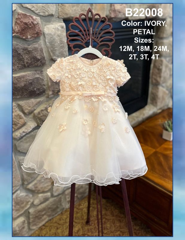 Ivory/Blush Dress w/3D Flower Applique