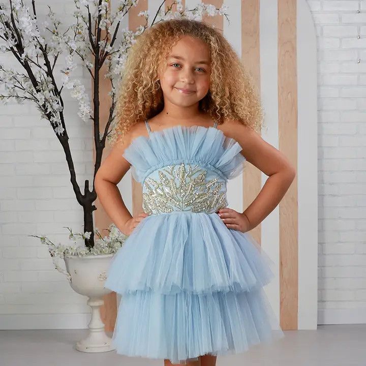 Sky Lyli Tulle Dress