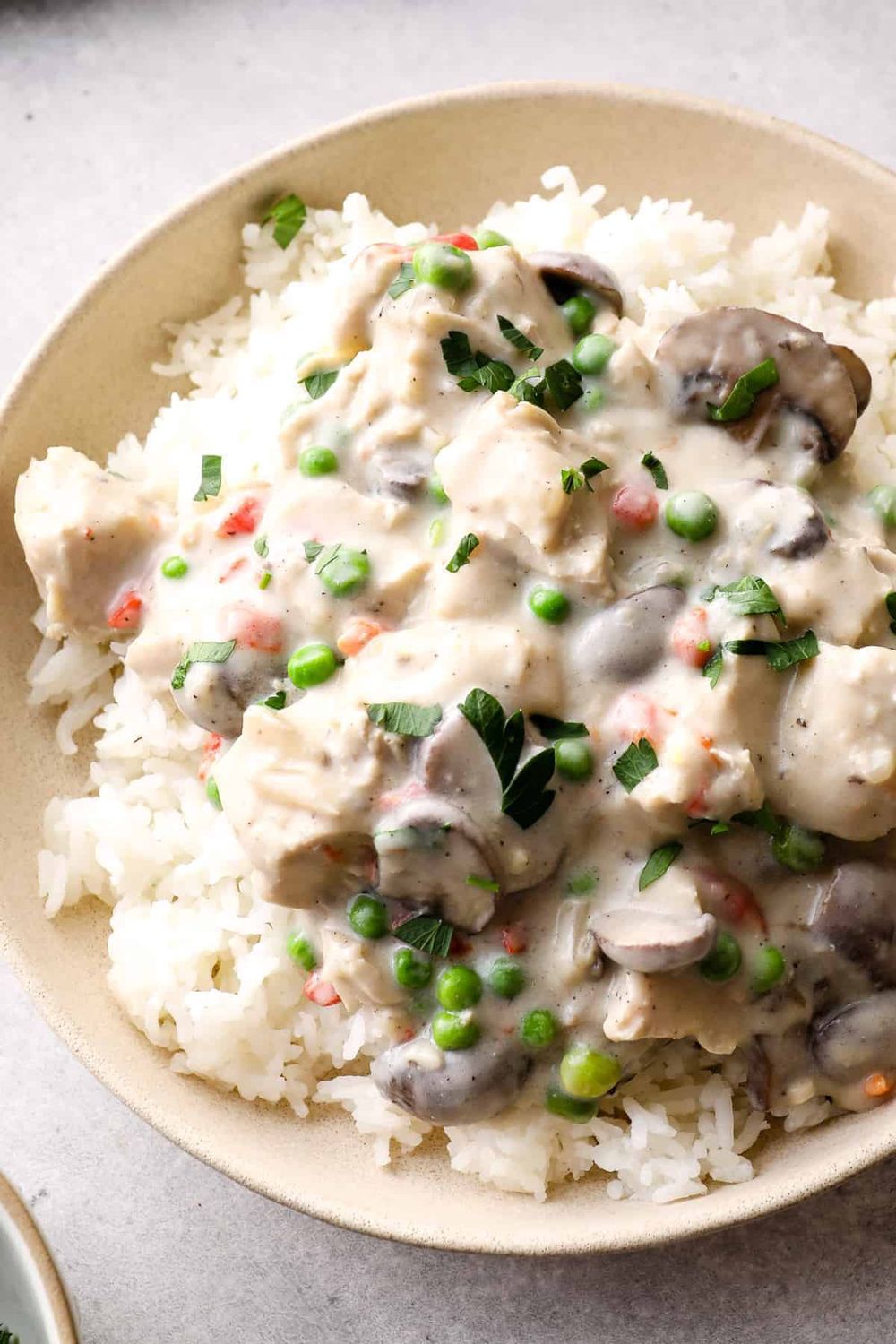Chicken Staganoff  Meal for 2