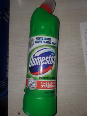 Domestos Mountain Free 750ml