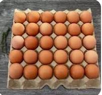 Eggs 30 in a tray