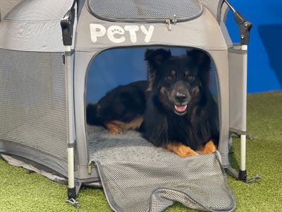 Pety