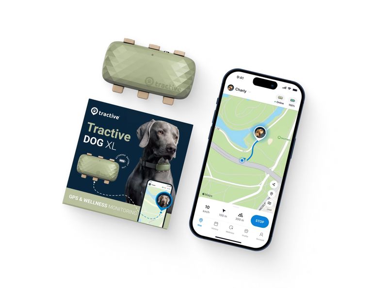Tractive GPS DOG XL